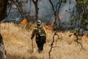 Wildfire,Wildfire Meaning,
Wildfire Hannah Grace,
Wildfire Meaning In Hindi,
Wildfire Disaster,